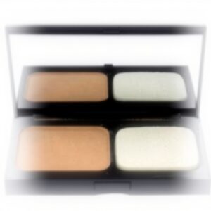 Fond de teint poudre Bobbi Brown léger fini naturel teint