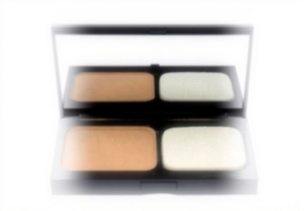 Fond de teint poudre Bobbi Brown léger fini naturel teint