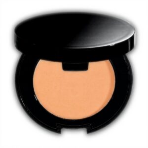 Correcteur Anti-Cernes Bobbi Brown Bisque Teint Unifié