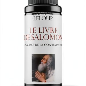 Livre Étude biblique chrétienne Presses du Châtelet-0